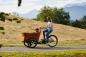 Preview: Babboe Curve Mountain Lastenrad BLACK EDITION AKTION inkl. REGENVERDECK