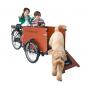 Preview: Babboe Dog-E Lastenfahrrad 500Wh braun AKTION inkl. REGENVERDECK
