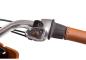 Preview: Babboe City Mountain 500Wh Lastenrad braun AKTION inkl. REGENVERDECK