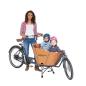 Preview: Babboe Mini Mountain 500Wh