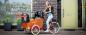 Preview: BAKFIETS.NL E-CargoTrike Cruiser Narrow Bafang 750Wh matt granite