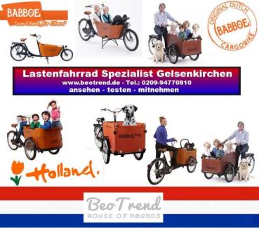 Babboe GO Mountain Lastenrad 500Wh