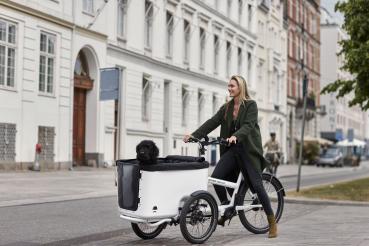 Butchers & Bicycles MK1-E Vario Door white