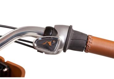 Babboe City Mountain 500Wh Lastenrad braun AKTION inkl. REGENVERDECK