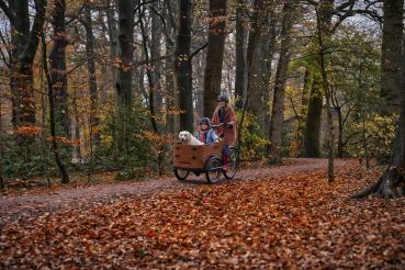 Babboe GO Mountain Lastenrad 500Wh AKTION inkl. REGENVERDECK