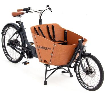 Babboe Mini Mountain 500Wh inkl. Regenverdeck