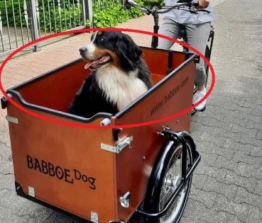 Babboe Schutzrand schwarz für Dog