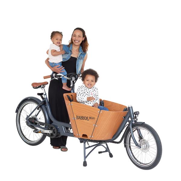 Babboe Mini Mountain 500Wh