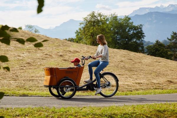 Babboe Curve Mountain Lastenrad schwarz INKL. REGENVERDECK