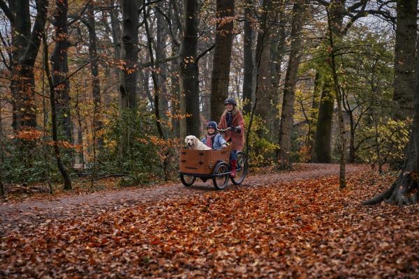 Babboe GO Mountain Lastenrad 500Wh AKTION inkl. REGENVERDECK
