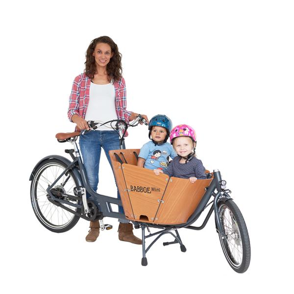 Babboe Mini Mountain 500Wh