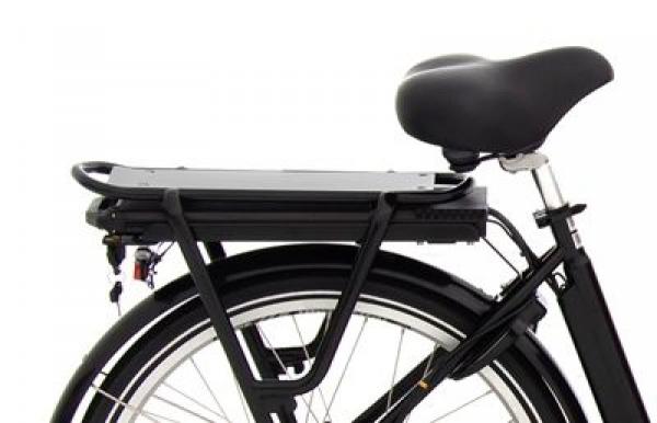 Babboe Dog-E Lastenfahrrad 500Wh braun AKTION inkl. REGENVERDECK
