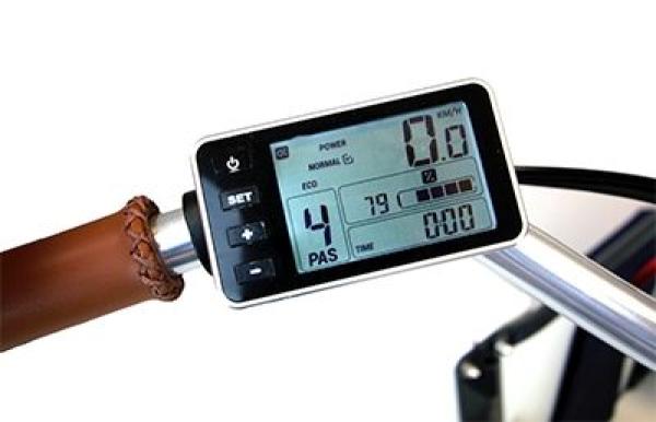 Babboe Dog-E Lastenfahrrad 500Wh braun AKTION inkl. REGENVERDECK