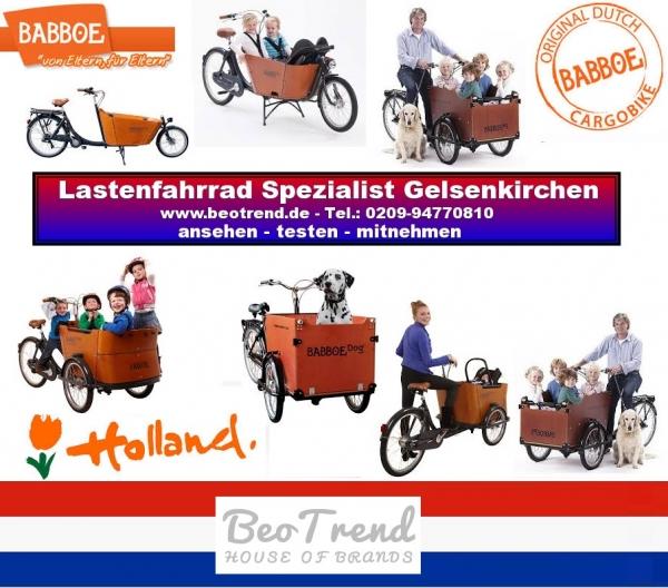 Babboe Lastenrad GO Regendach