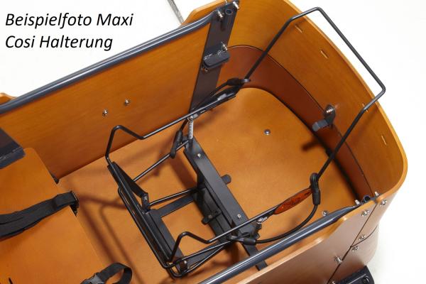 Babboe Curve Mountain Lastenrad BLACK EDITION AKTION inkl. REGENVERDECK